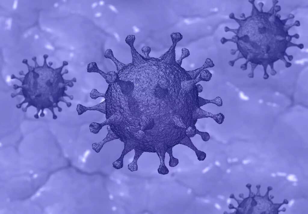 Coronavirus