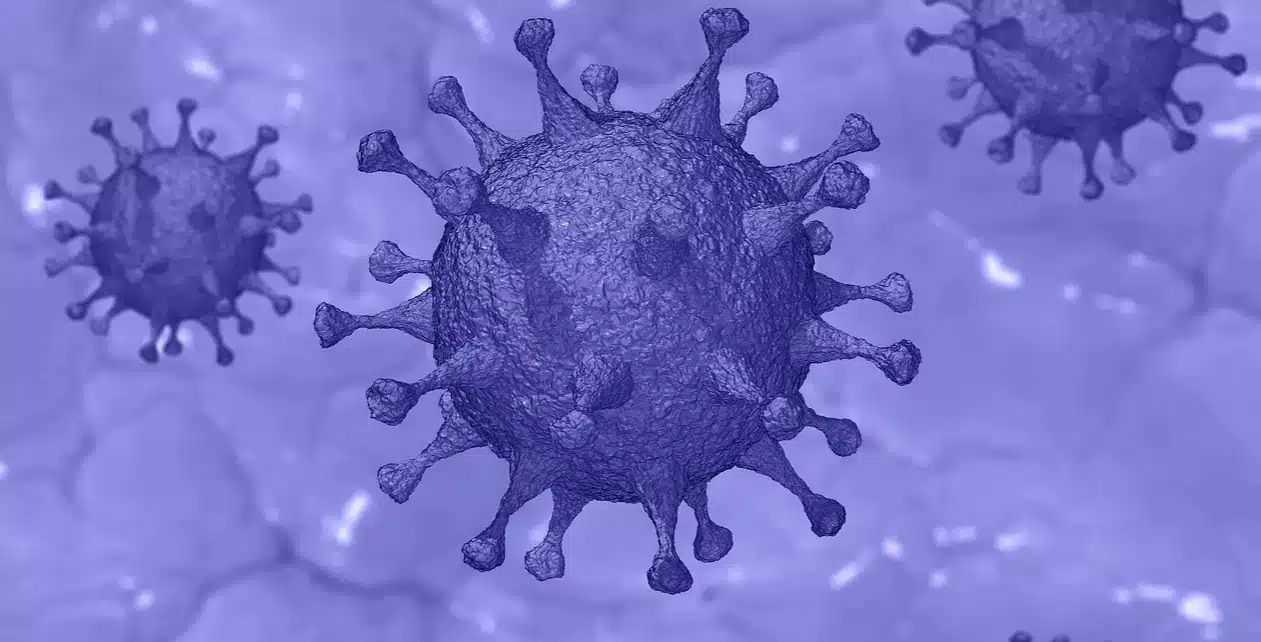 coronavirus in campania i dati aggiornati al 31 marzo