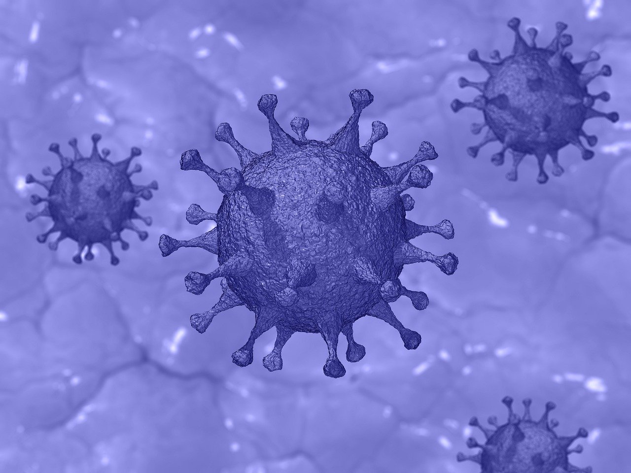 Governo ultime notizie: fase 2 e fase 3 coronavirus. In cosa consistono