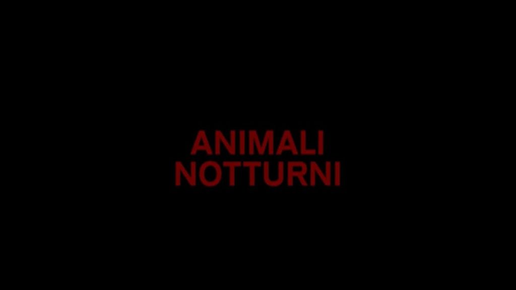 Animali Notturni: recensione film su Netflix da vedere in quarantena