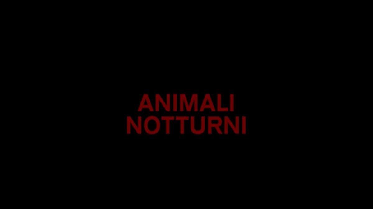 Animali Notturni: recensione film su Netflix da vedere in quarantena