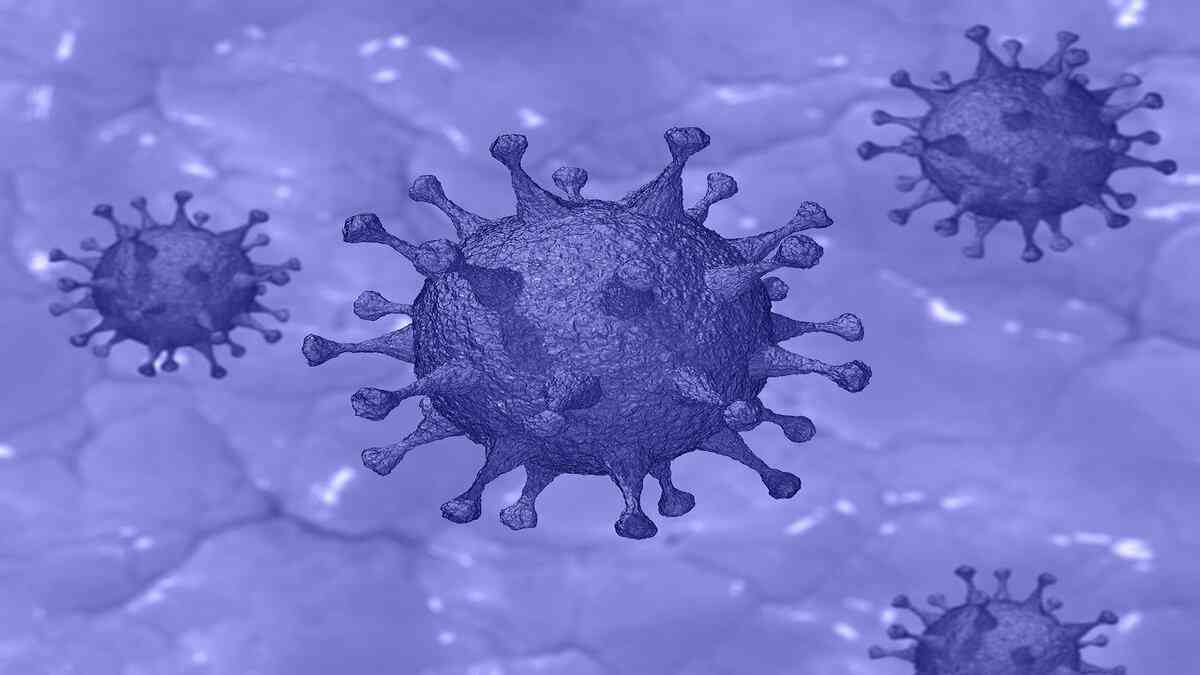 Coronavirus Piemonte Coronavirus Campania, ultime notizie morti, contagi al 10 aprile