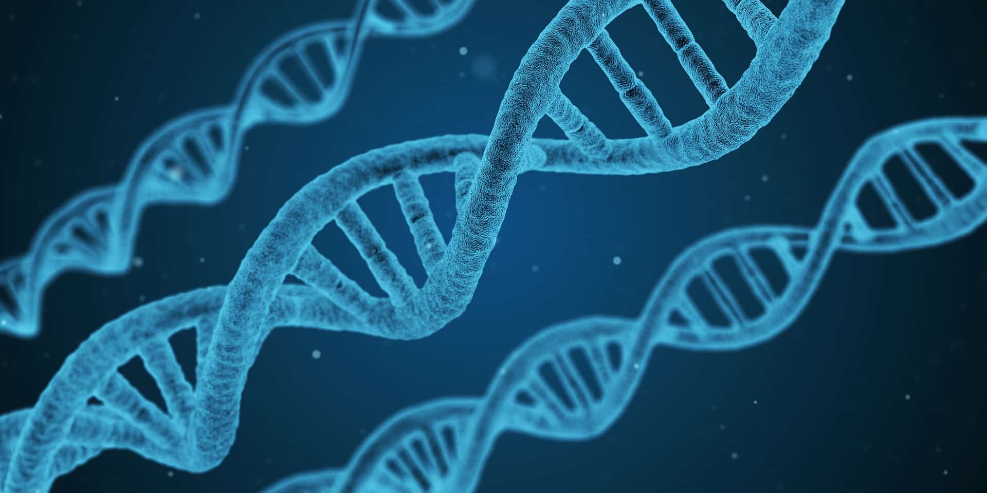 Dna