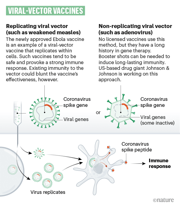 Vaccino coronavirus