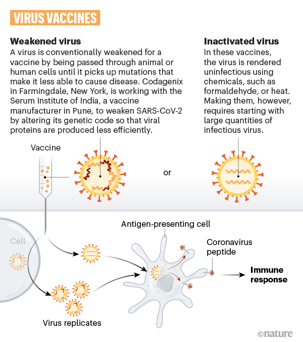 Vaccino coronavirus