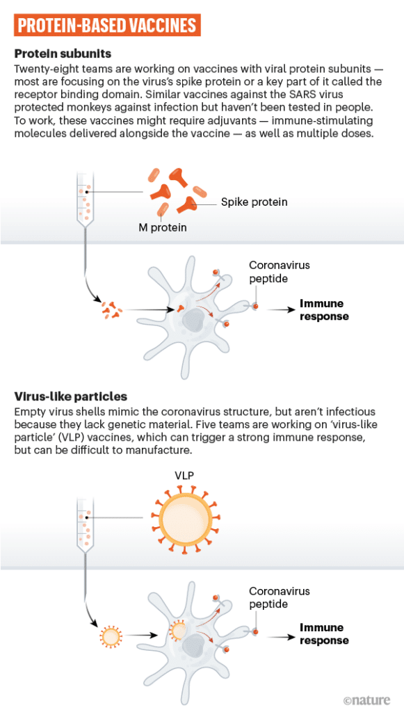 Vaccino coronavirus