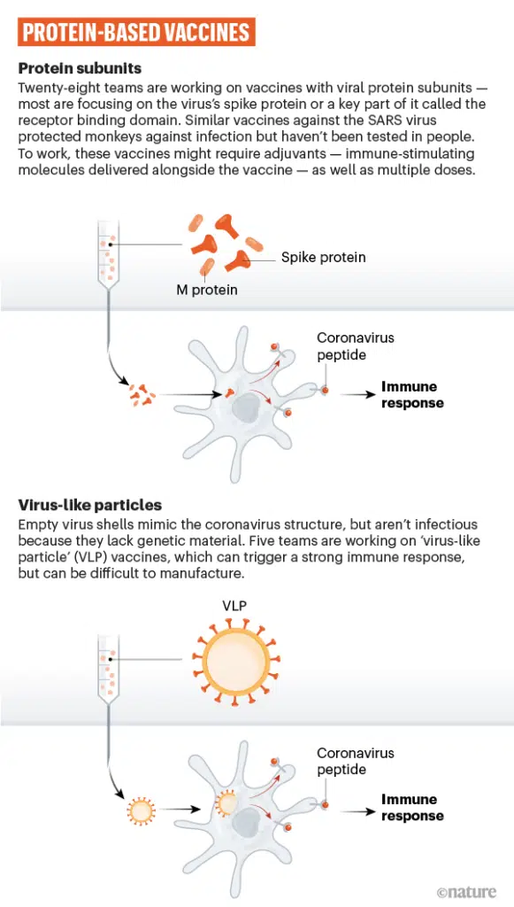 Vaccino coronavirus