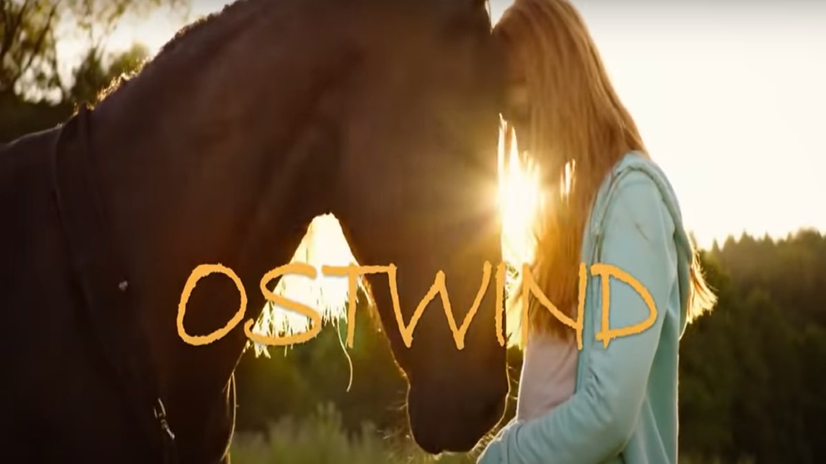 Windstorm - Liberi nel vento: trama, cast e anticipazioni del film stasera