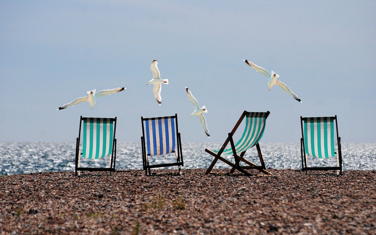 Bonus vacanze 2020: cessione crediti, ecco il manuale in pdf. La guida