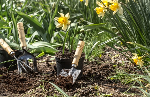 Offerte Giardinaggio