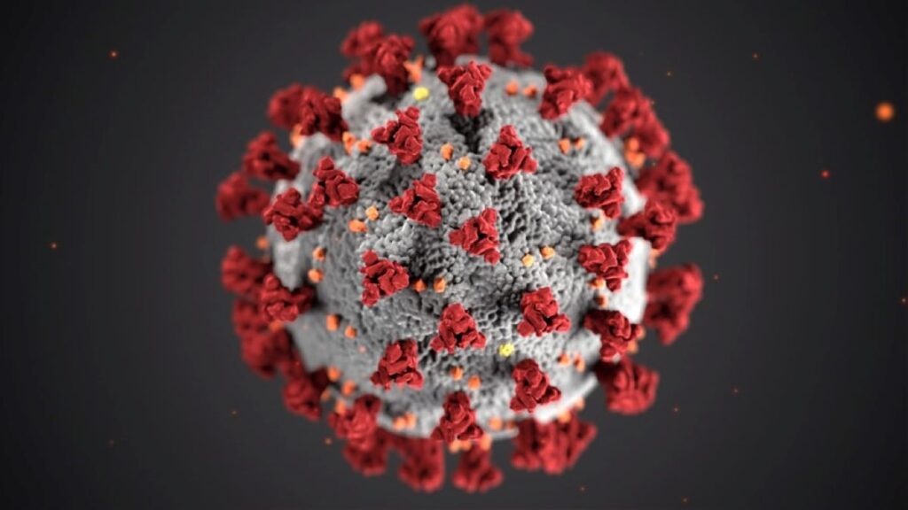 Quiz Coronavirus: sai davvero tutto del Covid-19? Testa la tua preparazione!
