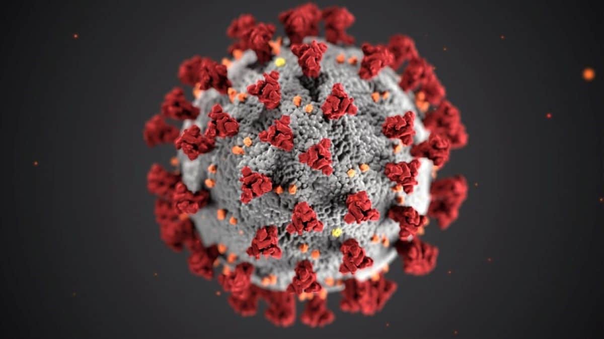 Quiz Coronavirus: sai davvero tutto del Covid-19? Testa la tua preparazione!