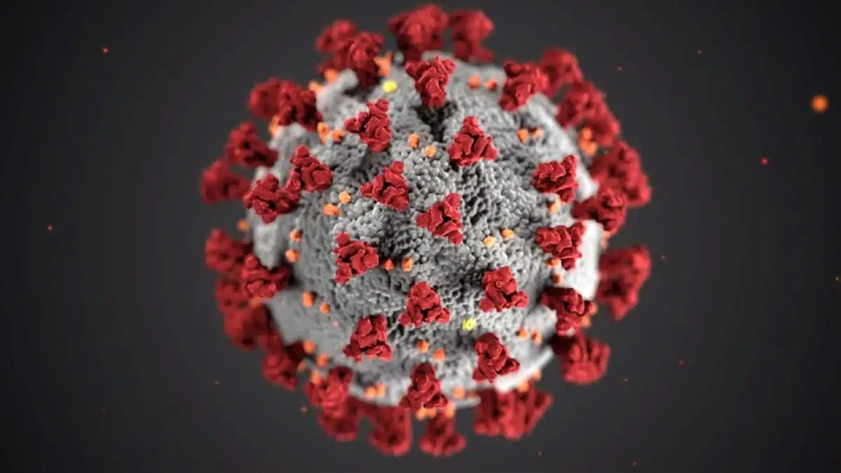 Quiz Coronavirus: sai davvero tutto del Covid-19? Testa la tua preparazione!