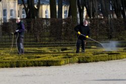 Boom di casi tra Salerno e provincia: 397 Boom di casi tra Salerno e provincia: 397