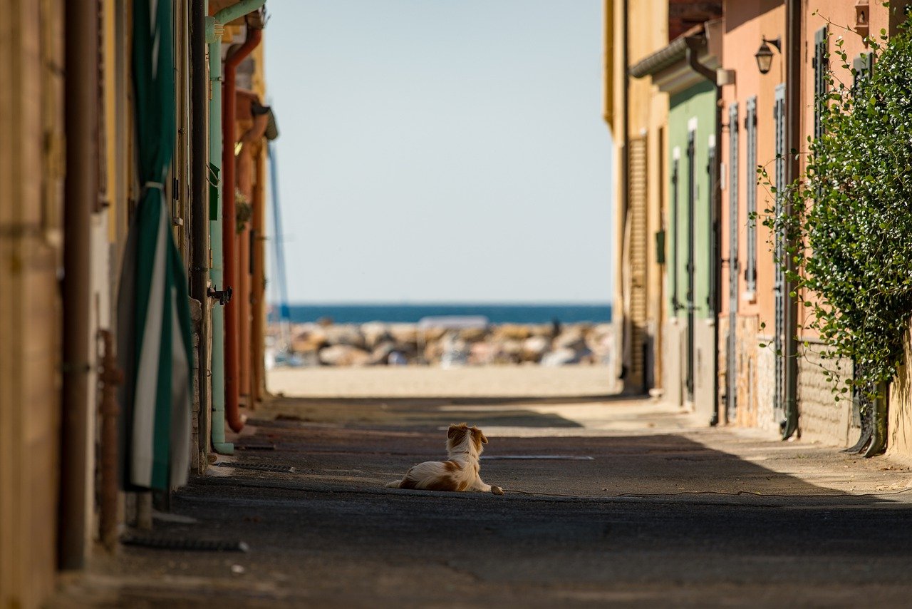 Importo multe zona gialla, rossa e arancione in Italia: quanto si paga