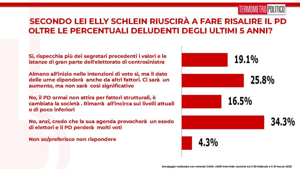 sondaggi tp, schlein