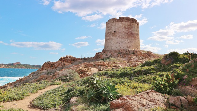 Elezioni Sardegna 2024