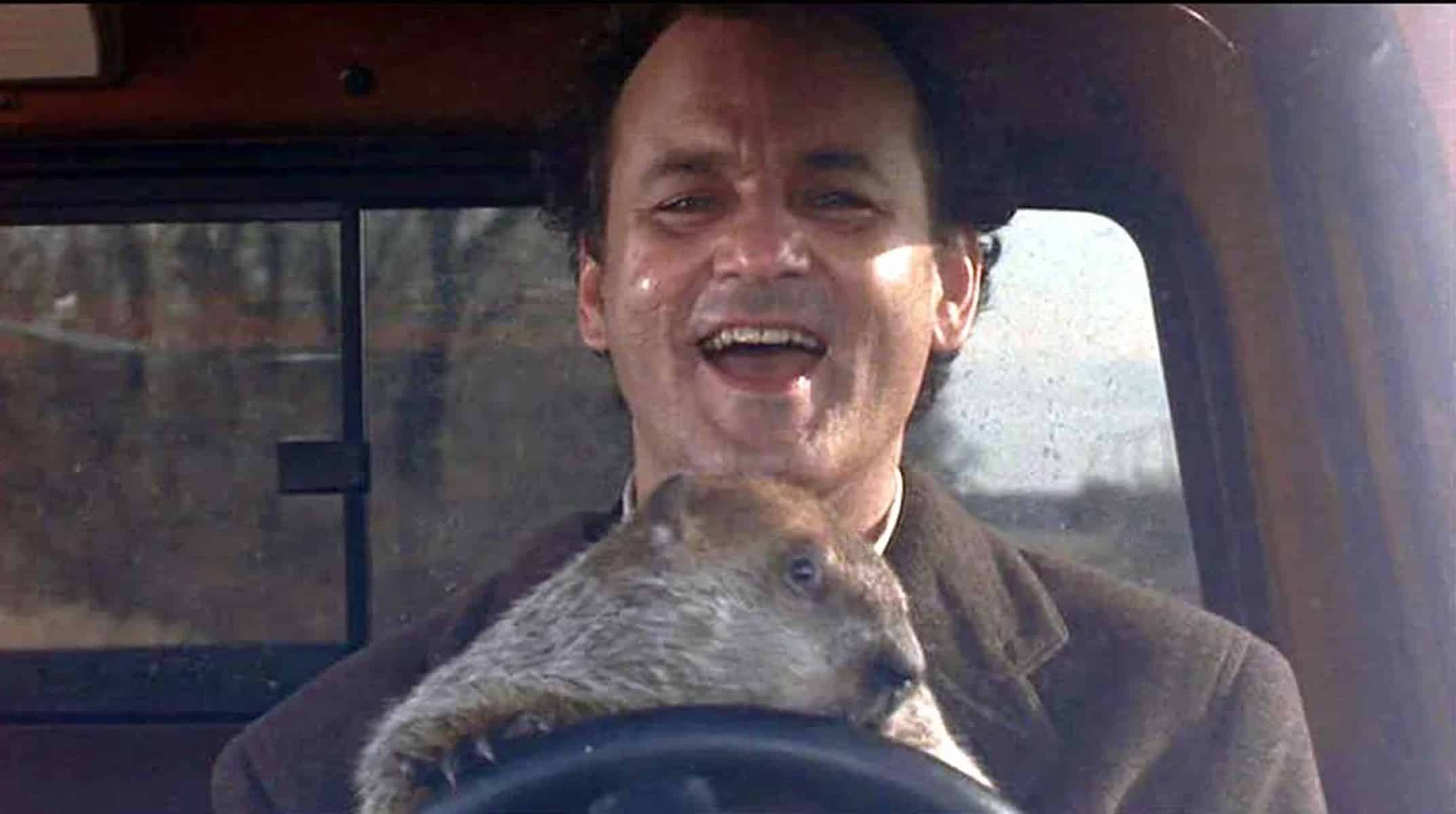 Oggi è la giornata della marmotta: cos'è, origini e dove si celebra