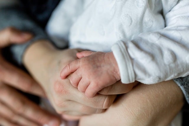 Assegno unico giugno 2024: quando verrà pagato il sostegno economico destinato a chi ha dei figli a carico? L’Inps ha già comunicato le date. Attenzione alla scadenza fissata per giorno 30