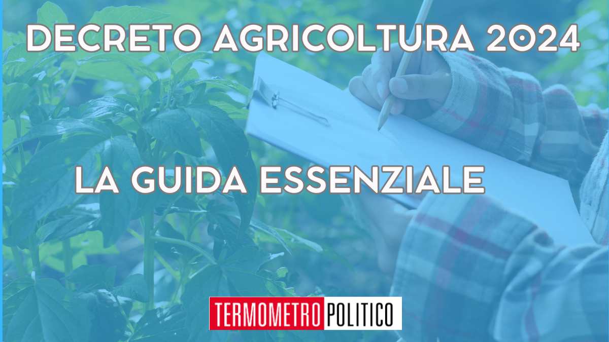 Aiuti decreto agricoltura 2024, la guida essenziale aggiornata