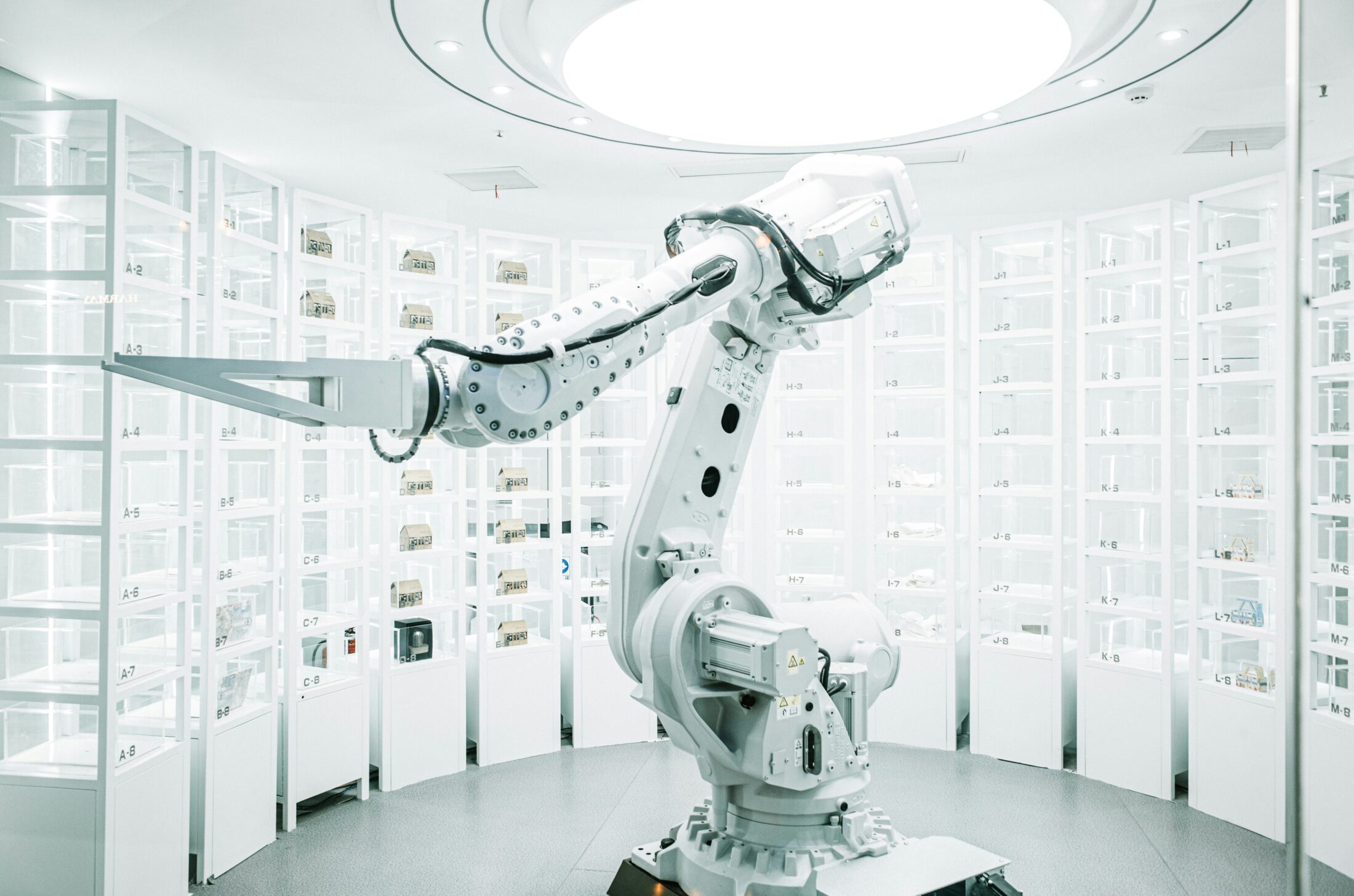 braccio robotico