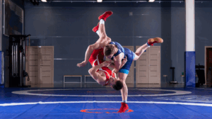 wrestling professionistico