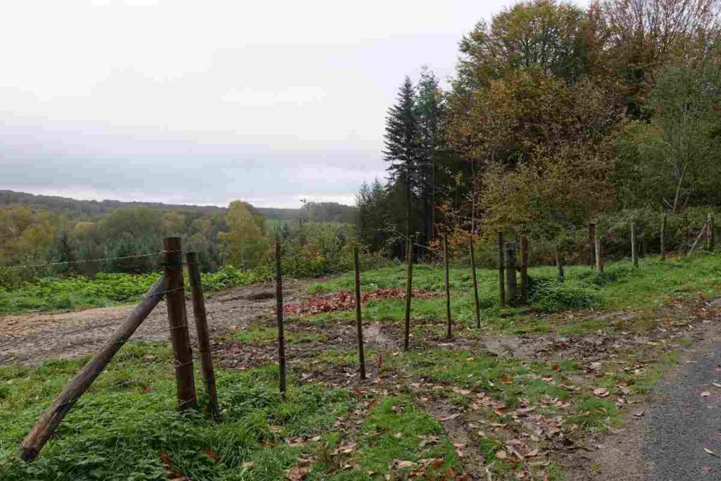 recinzioni senza permesso